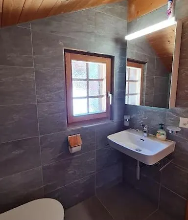 Chalet Magnifique D'époque Vercorin