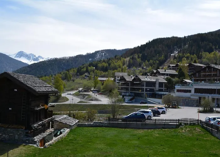 Magnifique D'epoque ורקורין