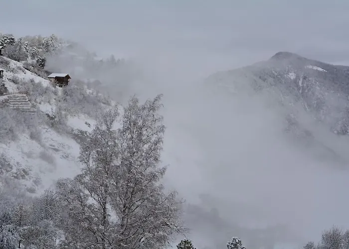 Magnifique D'epoque * ורקורין